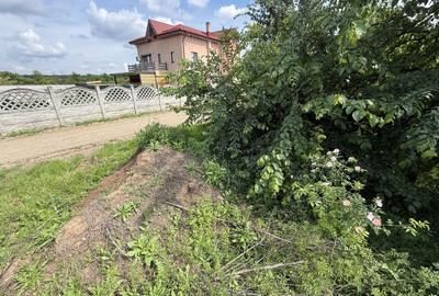 Teren intravilan 498,02 mp langa pădure , strada privata Corbeanca - 13