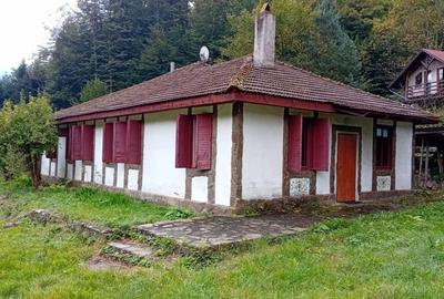 Casa de vacanta Crivaia, langa Valiug –locatie idilica, ideala pentru timp liber - 3