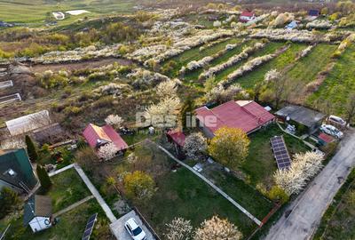 COMISION 0% CUMPARATOR - Teren intravilan 900 mp - Vișan, Barnova - 4