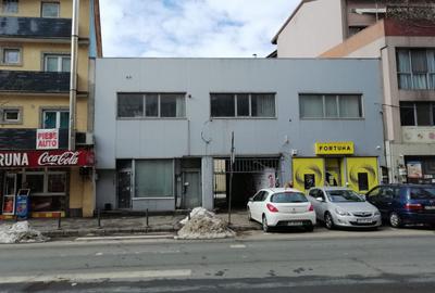 Spațiu comercial, de 340 mp, în Teiul Doamnei