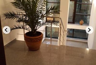 Inchiere apartament/birou  Herestrau - 2