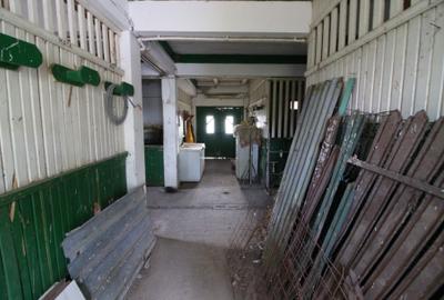 Vand ferma agricola jud. Galati -150.000 euro - 6