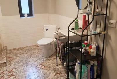 Cabana 4 camere zona Valea Avrigului - 14
