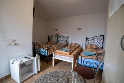 Hotel / Pensiune cu 21 camere de vânzare în zona Fermelor - 17