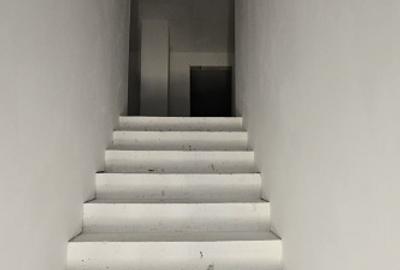 Dudestii Noi  - Casa 7 Camere - Proiect 2 Familii - 3