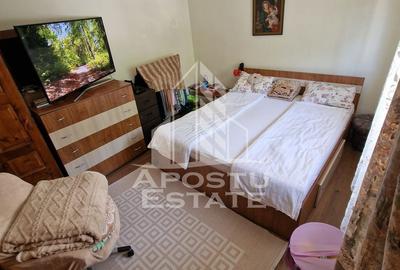 Apartament decomandat cu 2 camere mobilat si utilat,Calea Lipovei - 1