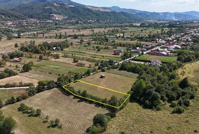 Teren superb de Vanzare in Darmanesti, Bacau - 3