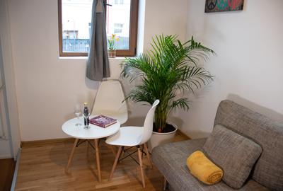 Unirii Mitropolie Studio Premium  In Bloc tip Vila cu Centrala Proprie - 31