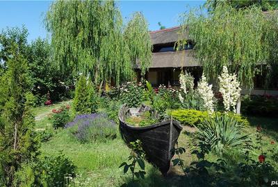 Pensiune agro-turistica in paradisul Deltei Dunarii - 6