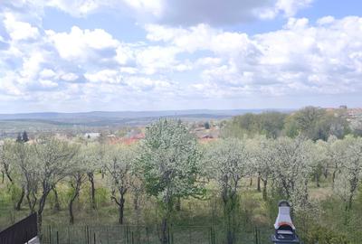 Casă cu 4 camere în Bucium