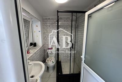 Casă cu două camere - 35 mp cu gradină proprie - Bd Laminorului - 6