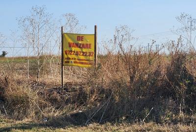 Frumusani-Pasarea,stradal la asfalt,ideala investitie! - 5