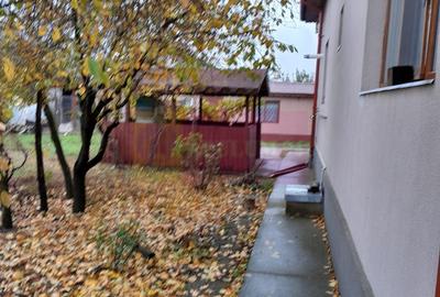 DE VANZARE CASA IN COM. BRANESTI (IF) - 44