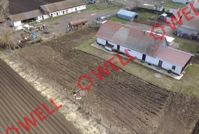 Hală industrială de vânzare în Cernat! - 2