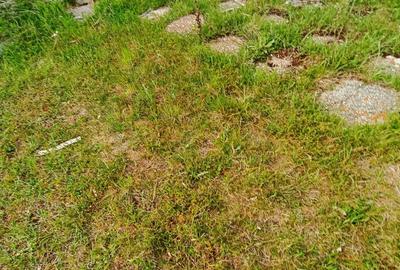 Teren in localitatea Reci,langa lacuri - 10