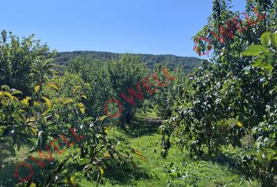 De vânzare casă familială situată în Miercurea Nirajului, zona Sântandrei! - 15