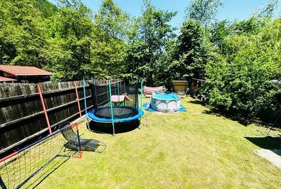 Casa de vacanta cu 5 camere si iesire la rau in Raul Sadului - 19