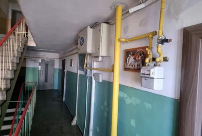 Gara mangaliei-apartament 2 camere decomandat 52 mp - 18