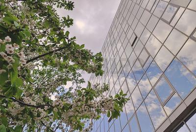 Zero comision, intre 30-112-196mp birou Promenada, 4 minute metrou - 1