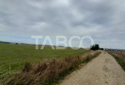 Teren intravilan 2 fronturi de 35 m fiecare 8.000 mp Turnisor Sibiu - 3