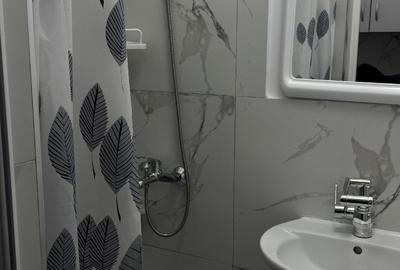 Grasoniera Micro39A et1/4 ,grup sanitar,Renovata si Mobilata Modern 30000 euro - 5