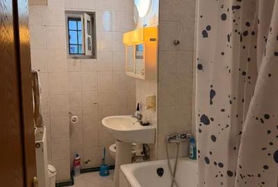 Apartament 2 camere decomandate Parcul Sub Arini - 7
