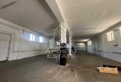 Hala în suprafață de 580 mp în Zona SAGULUI - 3