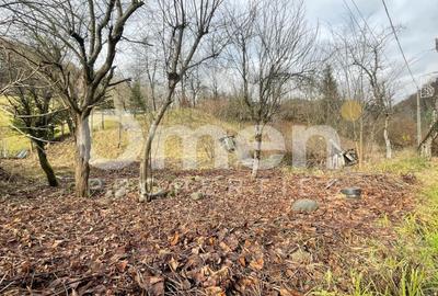 Teren Construcții intravilan de 1355 mp, în Firiza