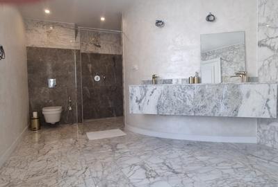 PIPERA IANCU NICOLAE VILA LUX RENOVATA COMPLET 2022 - 44