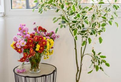 Dristor-Ramnicu Valcea, garsoniera moderna, bloc mixt, PET FRIENDLY - 32