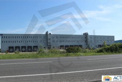 Inchiriere hala Timișoara in cadrul Logicor - 3