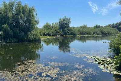 Teren 637mp Silistea Snagovului | Toate Utilitatile | Proprietar - 3