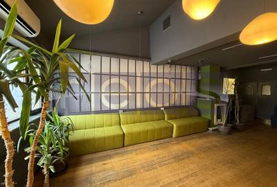 OPORTUNITATE | INCHIRIERE VILA | IDEAL RESTAURANT | GRADINA ICOANEI | - 17
