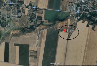 Ferma de gaini ouatoare in sistem free-range | 45.000 mp teren - 7