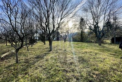 Teren intravilan 1.915 mp + cabană din lemn | Tocile – Sadu - 1