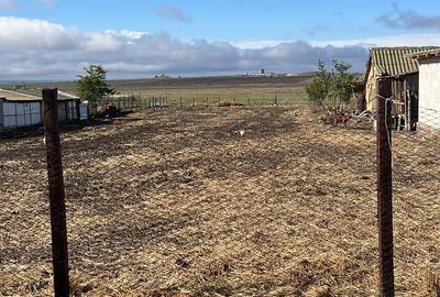 Teren intravilan pentru casa situat in Ceamurlia de Jos (Tulcea)! - 1