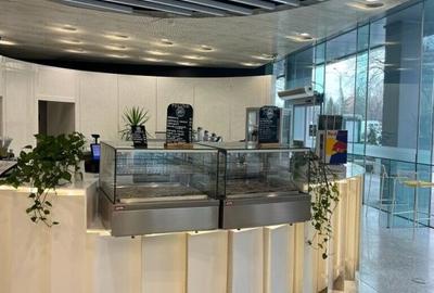 Spatiu de inchiriat - Promenada Mall, imobil clasa A - 7