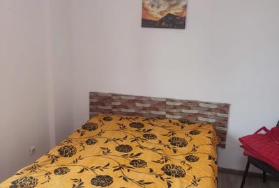 Gara de Nord, garsoniera, mobilata, utilata, Pet Friendly, libera - 1