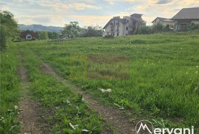 Teren intravilan de vanzare in Campina - Zona Muscel - 3