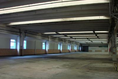 Hala industriala 4850 mp, 2000000 euro - 5