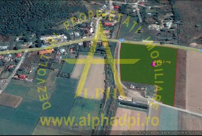 Bacau com. Tamași teren intravilan 21643 mp - 3