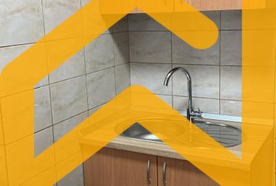 Apartament 2 camere de inchiriat Unirii București | ApexImobiliare.ro - 17