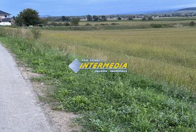 OKAZIE ! 2300 mp. Teren Intravilan Mereteu lat 22 m toate utilitatiile in fata - 5