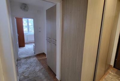 Drumul Taberei 3 camere 2/4  cu garaj - 9