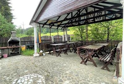 Arta si design in incantarea naturii, oportunitate rezidential/ turistic, Predea - 28