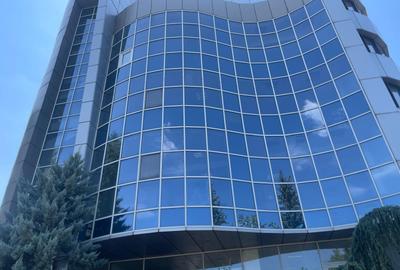 Birou, 3147 mp în Virtuții