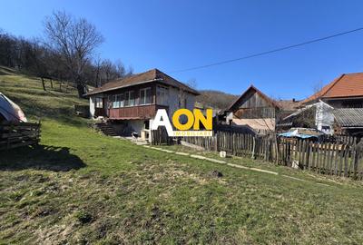 Casa de Vacanta 2 Camere, Strada Morilor Zlatna - 13