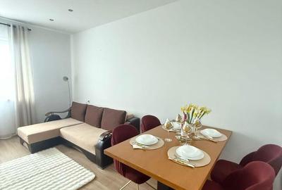 Inchiriere apartament 2 camere in complexul rezidential Rin Grand Residence - 4