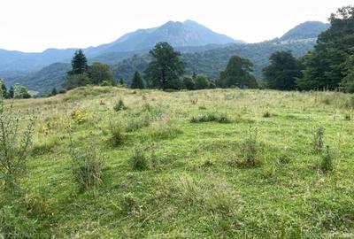 Teren Rasnov inntravilan PUZ) zona Parau Rece - 9