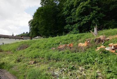 Teren Busteni, 3.999 mp, deschidere DN 1 aprox. 113 m, comision 0% - 5